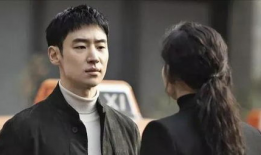 复仇电视剧,爱恨交织的复仇传奇